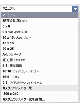比率の選択メニュー