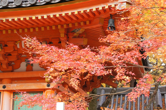 岸和田の紅葉名所