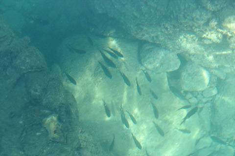 和歌山県湯浅町の海