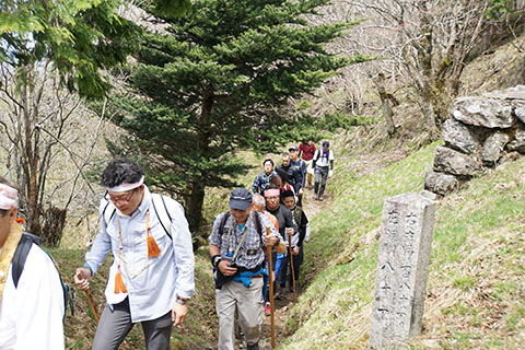 山道は続きます