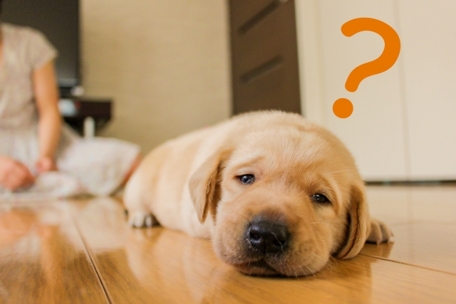 【ネットショップやホームページの第一関門】まず不安を取り除いてあげることが大事