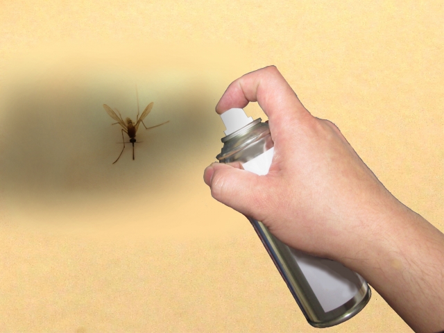 どんな状況でも明るく前向きに