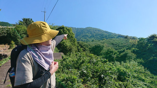 岸和田からも見える和歌山が誇る紀州富士を制覇
