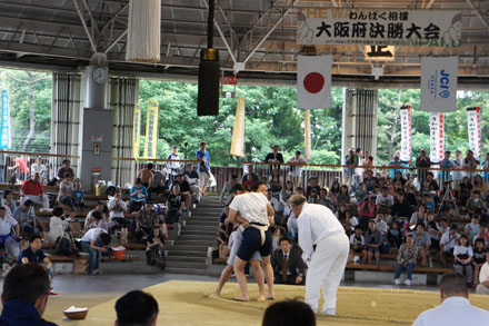 わんぱく相撲大阪大会