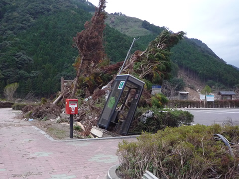 被害の様子 被害の様子